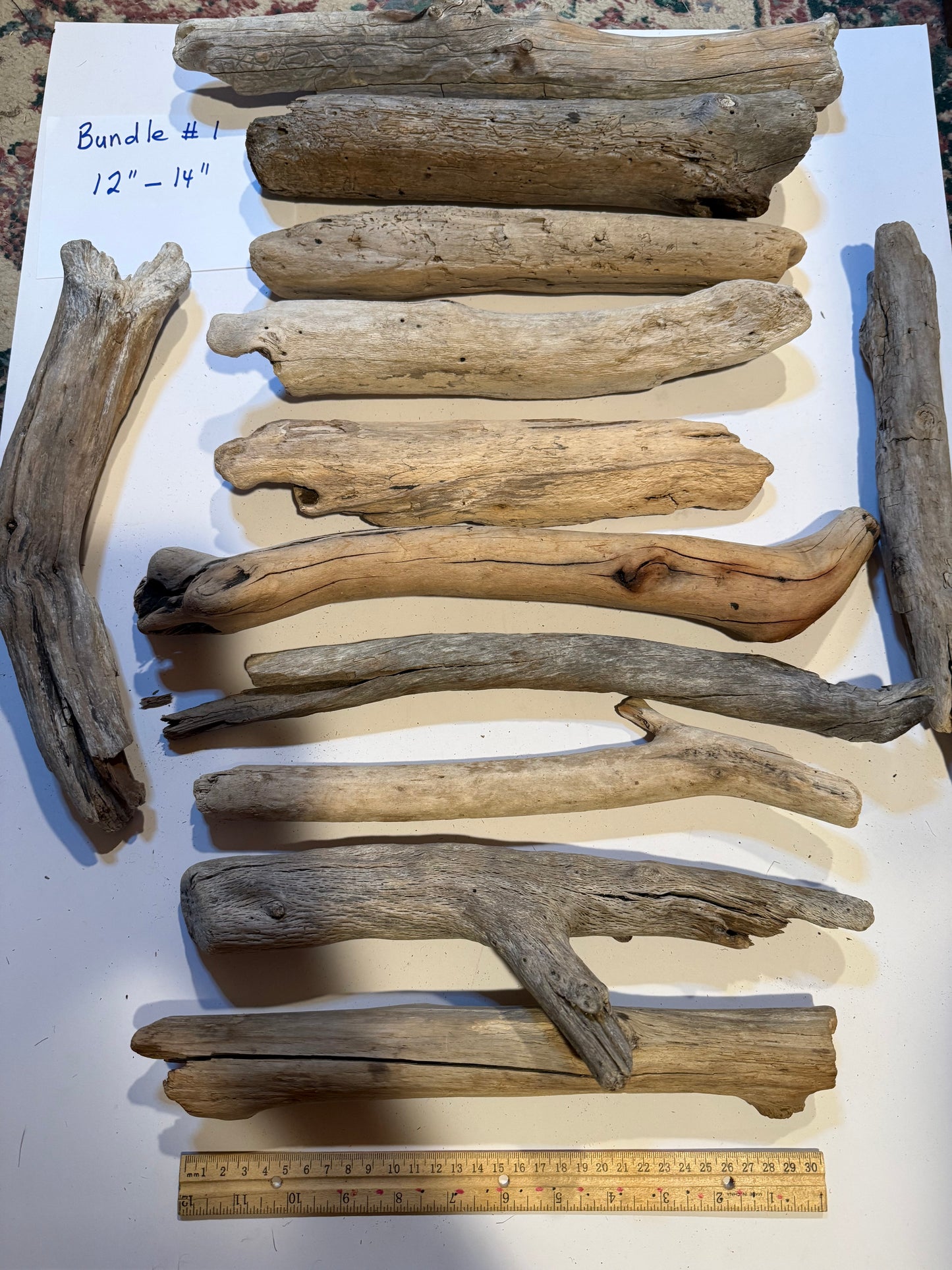 Hand-Collected California Driftwood 12-14 Inches Long
