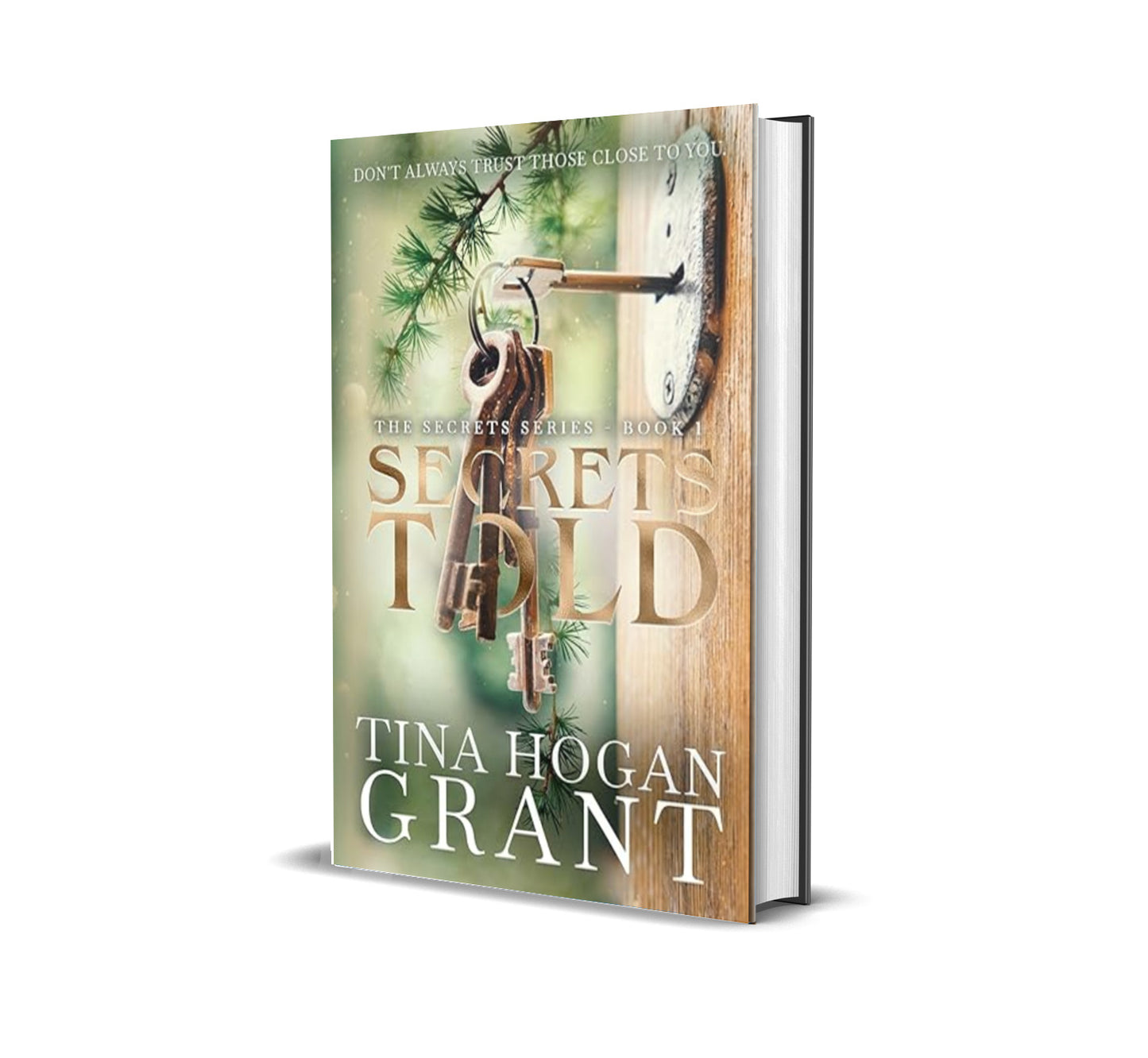 Close-up of Secrets Told paperback, a women's fiction novel by Tina Hogan Grant