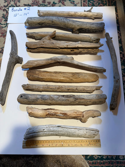 Hand-Collected California Driftwood 12-14 Inches Long