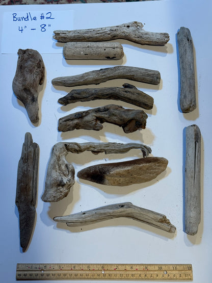 Hand-Collected California Driftwood 4-8 Inches Long