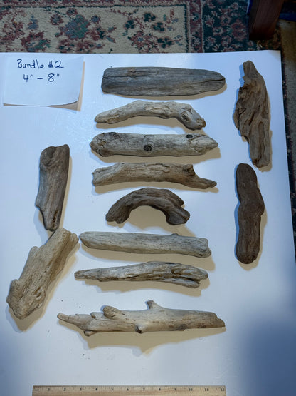 Hand-Collected California Driftwood 4-8 Inches Long