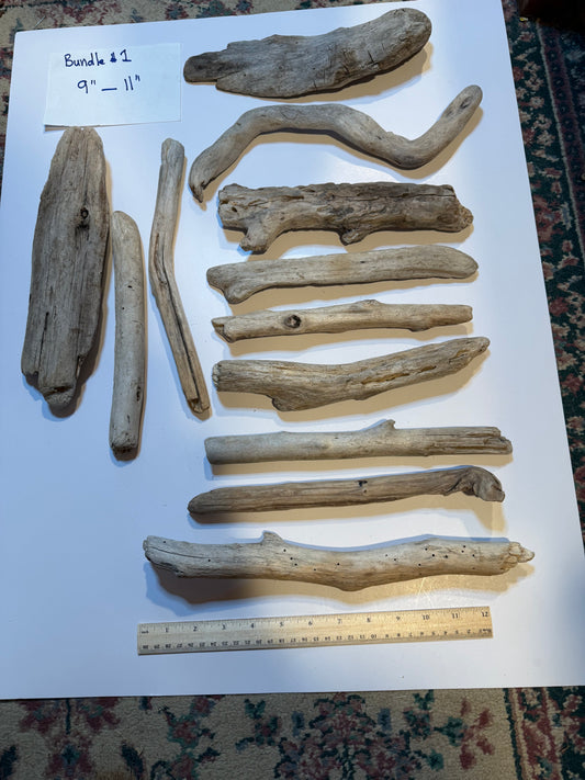 Hand-Collected California Driftwood 9-11 Inches Long
