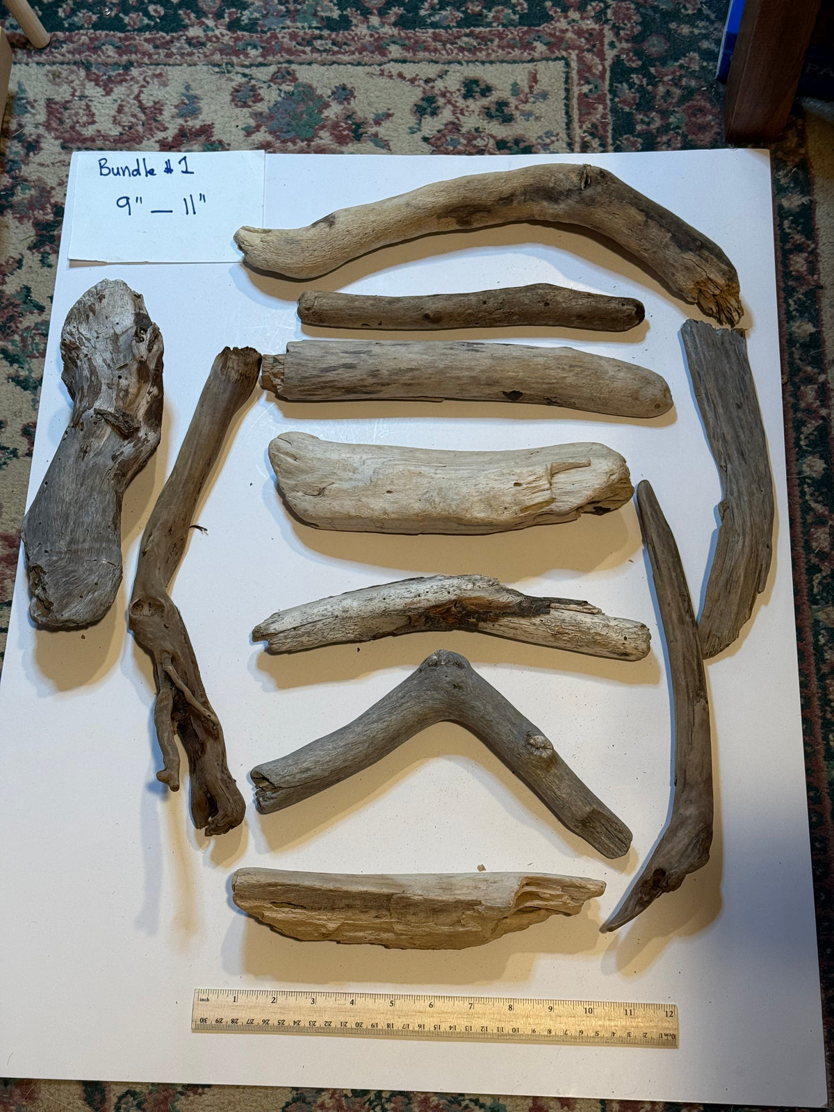 Hand-Collected California Driftwood 9-11 Inches Long