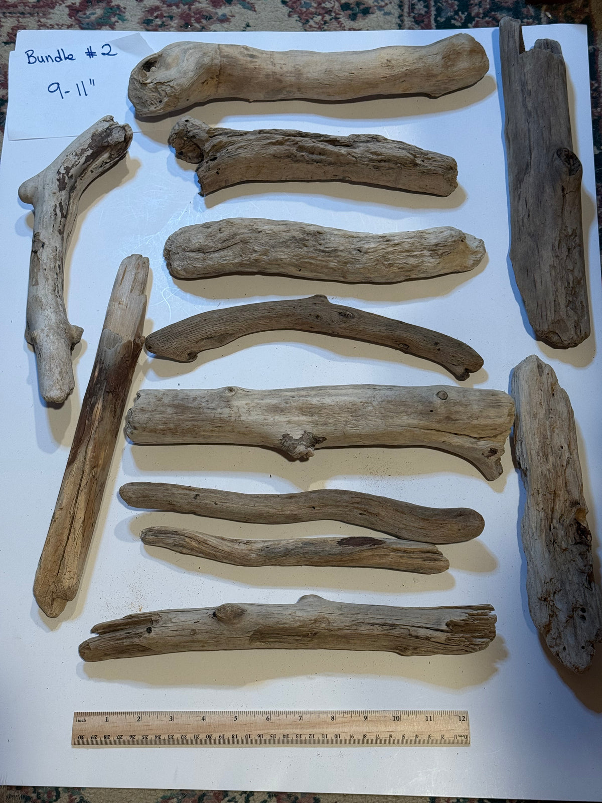 Hand-Collected California Driftwood 9-11 Inches Long