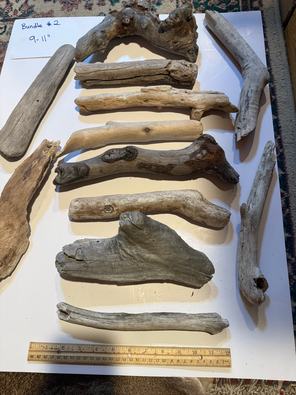 Hand-Collected California Driftwood 9-11 Inches Long