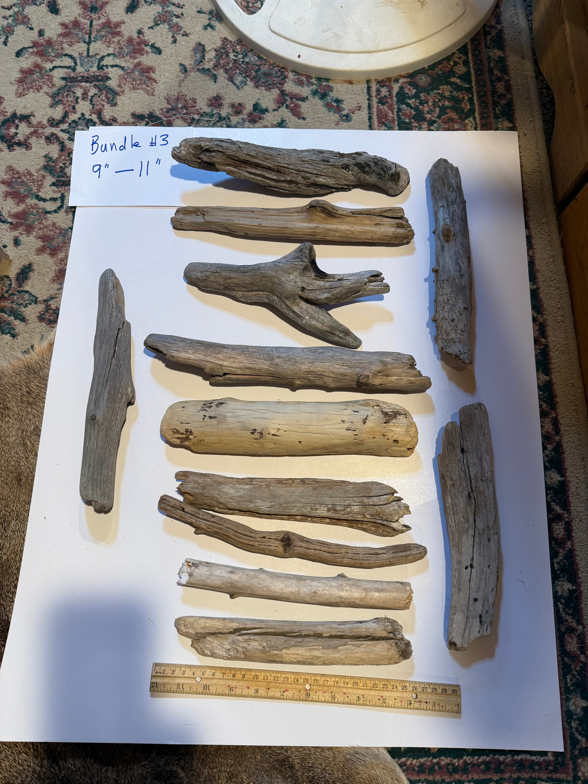 Hand-Collected California Driftwood 9-11 Inches Long