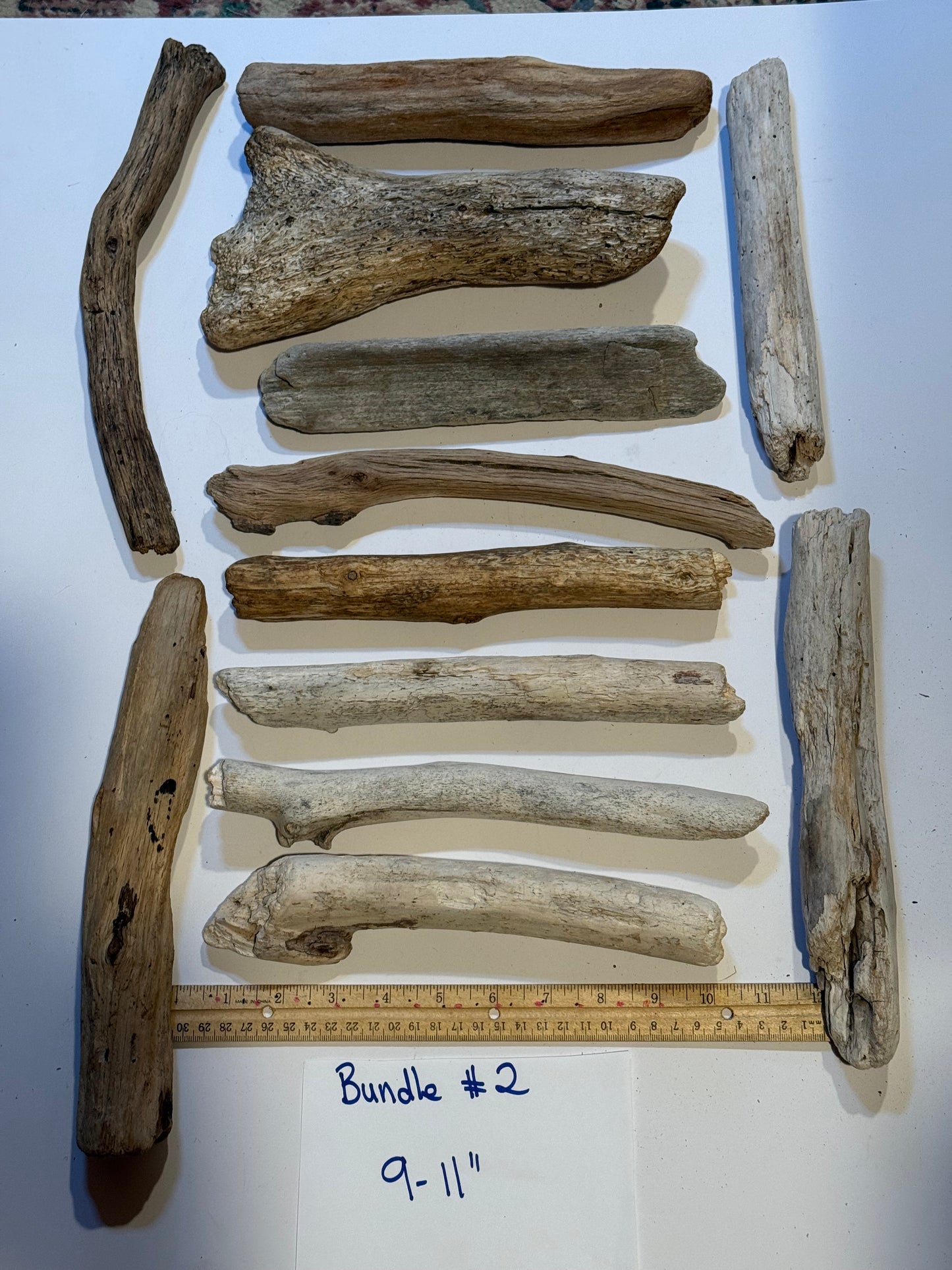 Hand-Collected California Driftwood 9-11 Inches Long