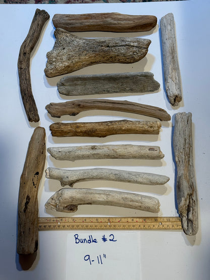 Hand-Collected California Driftwood 9-11 Inches Long
