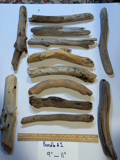 Hand-Collected California Driftwood 9-11 Inches Long