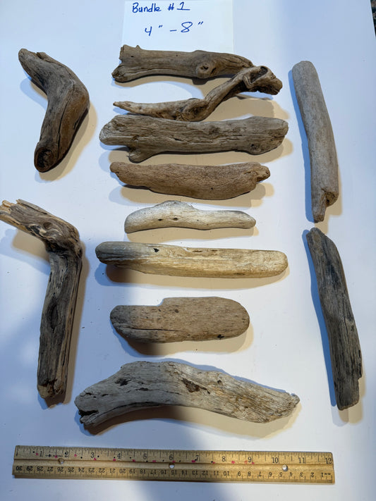 Hand-Collected California Driftwood 4-8 Inches Long
