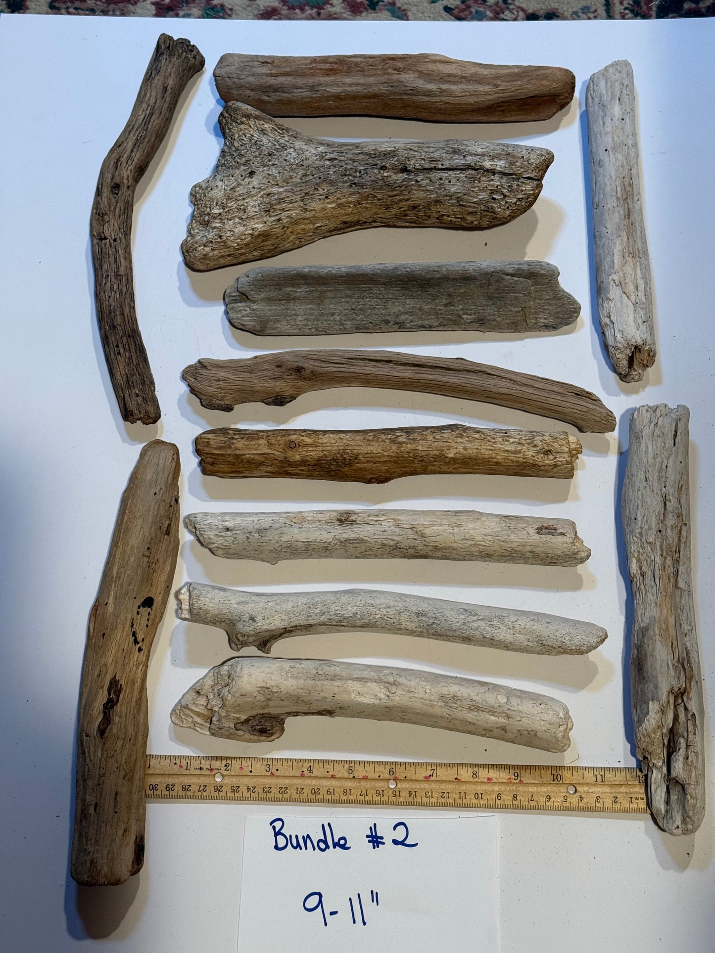 Hand-Collected California Driftwood 9-11 Inches Long
