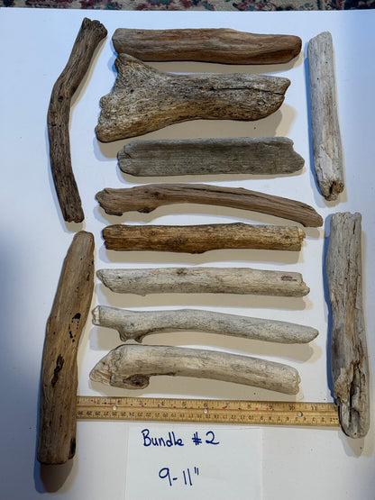 Hand-Collected California Driftwood 9-11 Inches Long