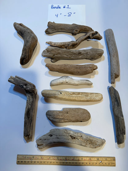 Hand-Collected California Driftwood 4-8 Inches Long