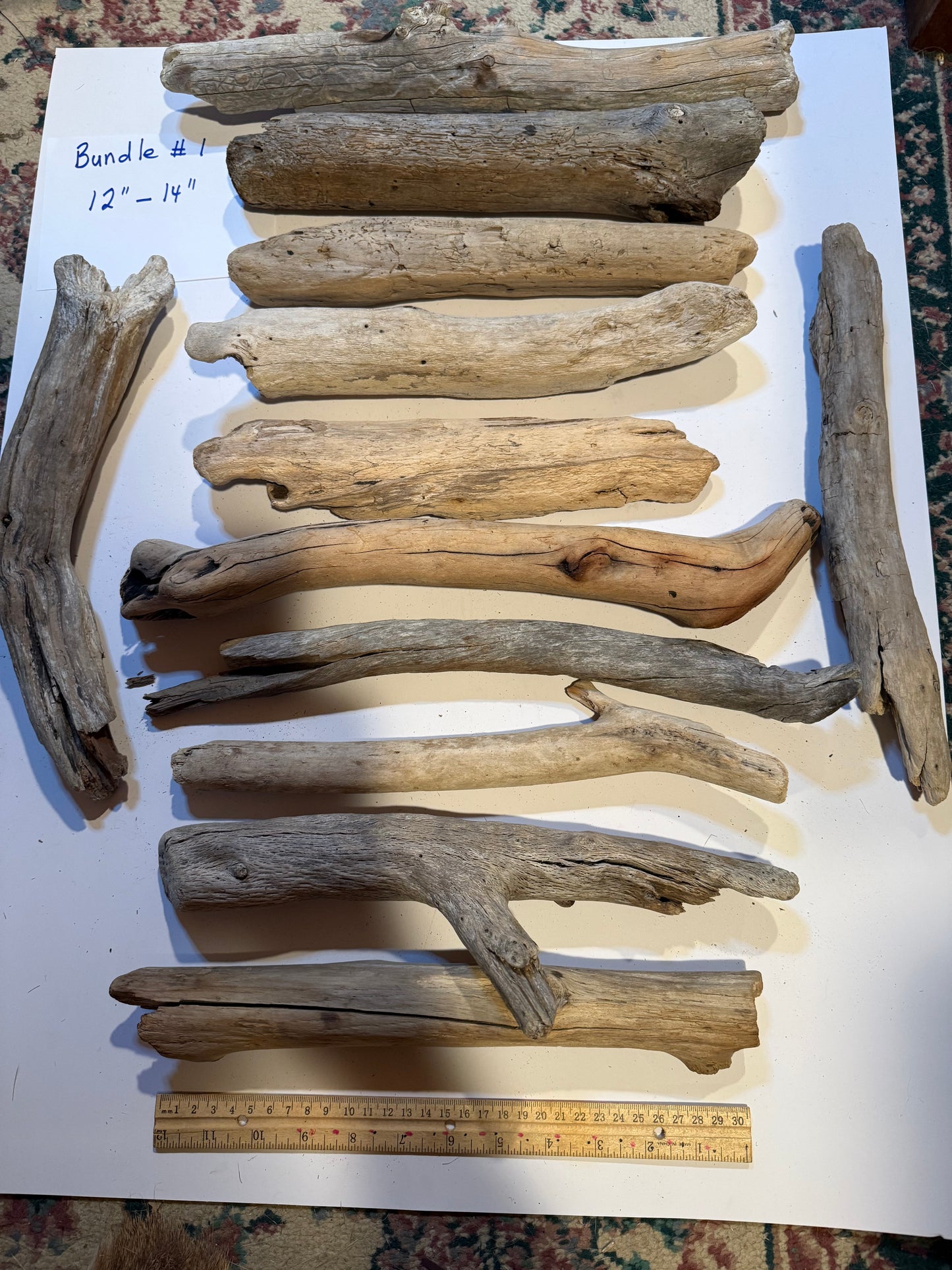Hand-Collected California Driftwood 12-14 Inches Long