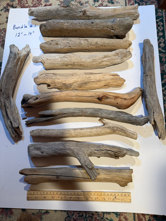 Hand-Collected California Driftwood 12-14 Inches Long