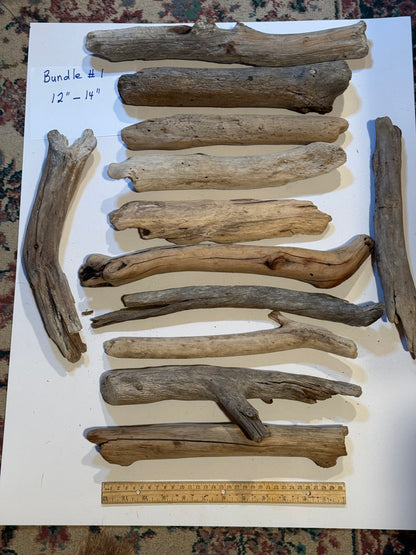 Hand-Collected California Driftwood 12-14 Inches Long