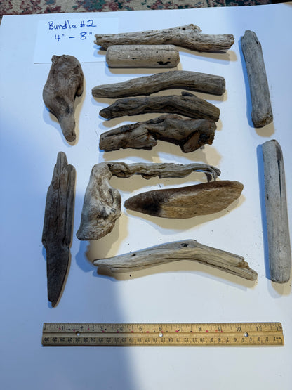 Hand-Collected California Driftwood 4-8 Inches Long