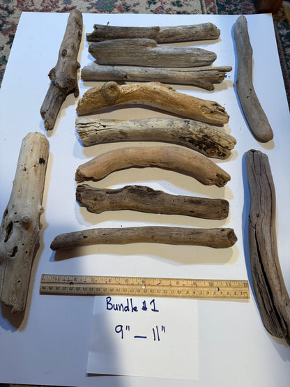 Hand-Collected California Driftwood 9-11 Inches Long
