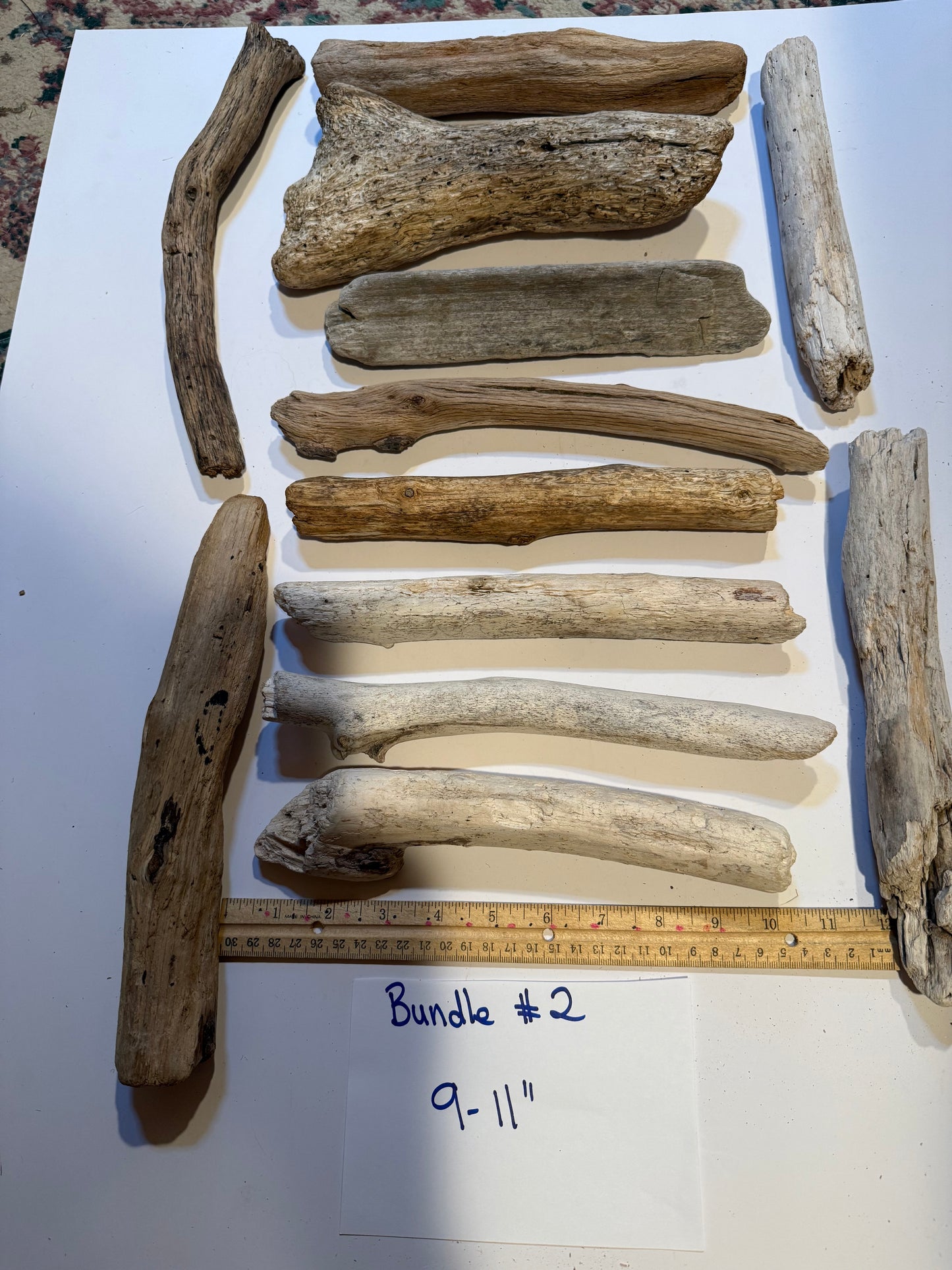 Hand-Collected California Driftwood 9-11 Inches Long