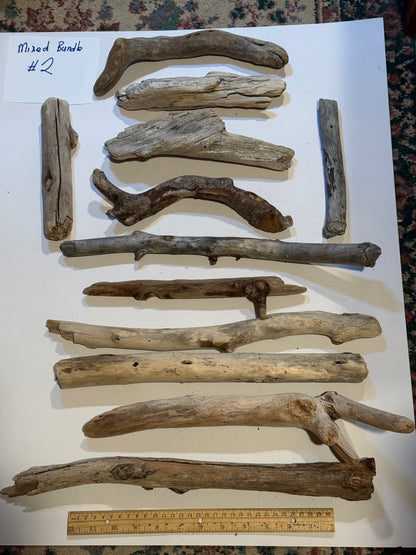 Hand-Collected California Driftwood Mixed Bundle