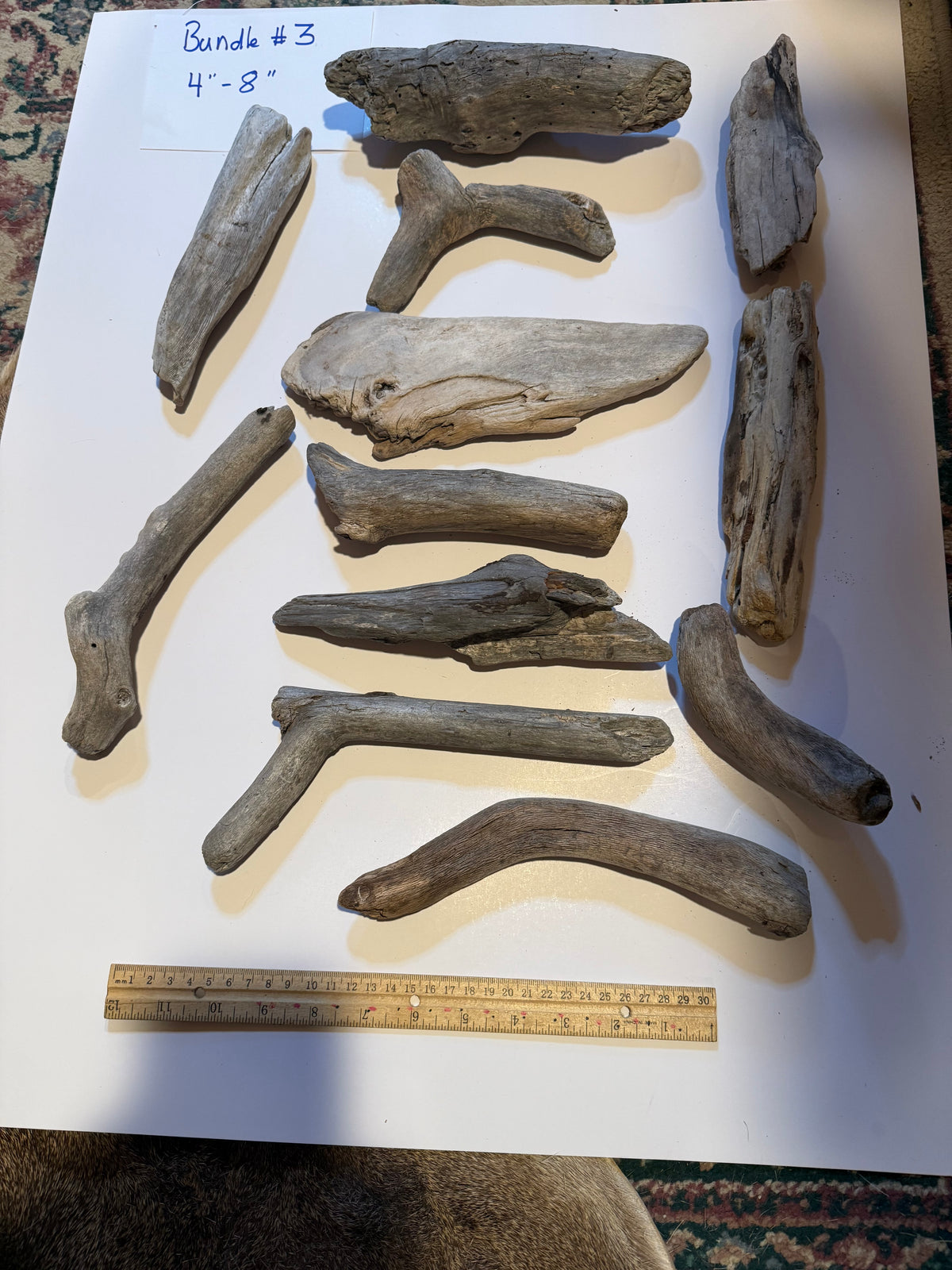 Hand-Collected California Driftwood 4-8 Inches Long