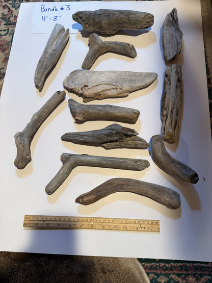 Hand-Collected California Driftwood 4-8 Inches Long