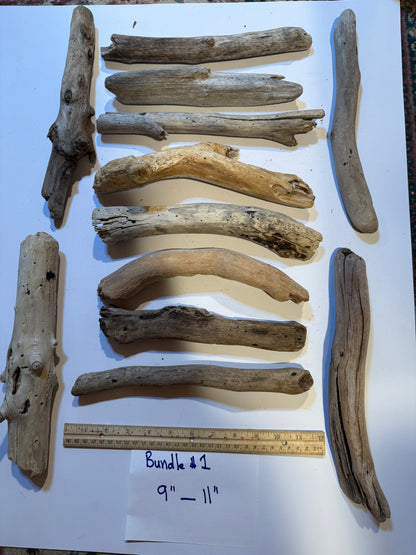 Hand-Collected California Driftwood 9-11 Inches Long