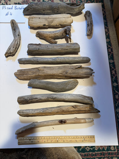 Hand-Collected California Driftwood Mixed Bundle