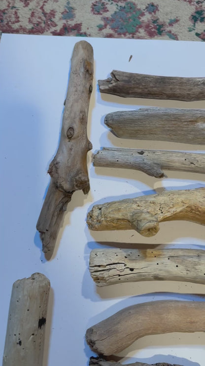 Hand-Collected California Driftwood 9-11 Inches Long